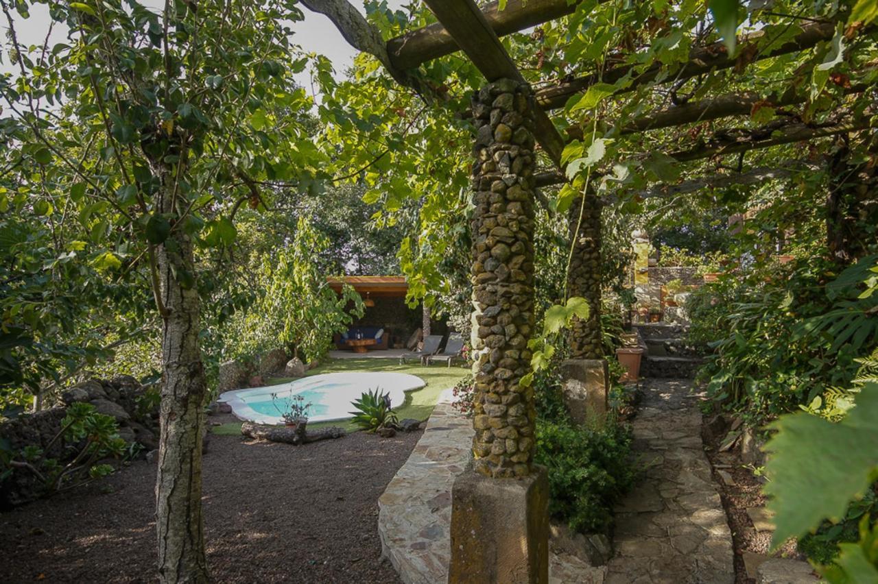 Villa Los Matos Pool And Garden Valleseco Extérieur photo